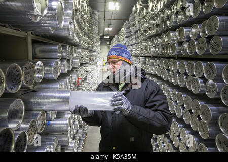 Denver, Colorado - Geoff Hargreaves, Kuratorin am National Ice Core Labor, hält einem Meter Abschnitt eines ice Core bei -36 Grad C (-3 gespeichert Stockfoto