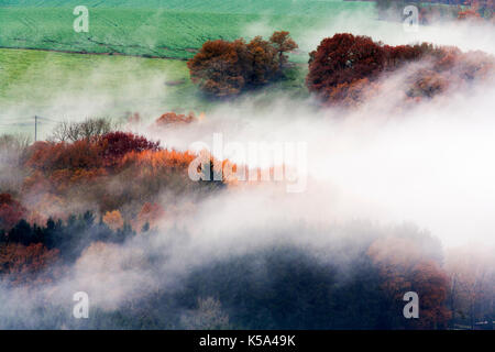 Nebligen Wälder und Felder im Herbst Farben Stockfoto