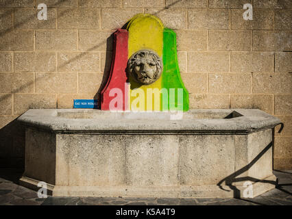 Zierpflanzen trinken Trog in Street, Tourbes, Herault, Frankreich. Stockfoto