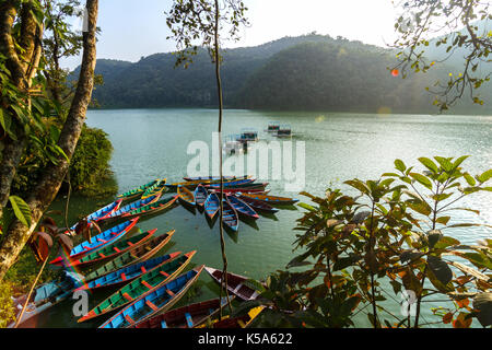 Bunte Kanu Boote bei Sonnenaufgang am Phewa See in Pokhara, Nepal. Stockfoto