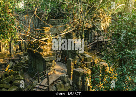 Beng Mealea Tempel Ruinen von Dschungel in der Nähe von Siem Reap, Kambodscha umgeben. Stockfoto