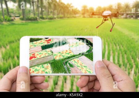 Smart Landwirtschaft, Bauernhof, Precision Farming Konzept. Drone und NIR-Bilder verarbeitung Anwendung verwendete Bildschirm Feld Gesundheit Karten für normaliz zu erstellen Stockfoto