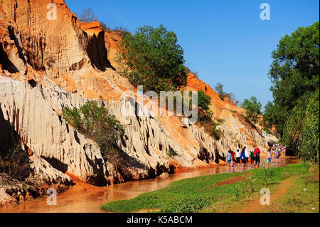 Mui Ne, Vietnam - Feb 20,2015: Fairy Stream Landschaft mit Palme und Red River zwischen Felsen und Dschungel Ham Tien Canyon. Stockfoto