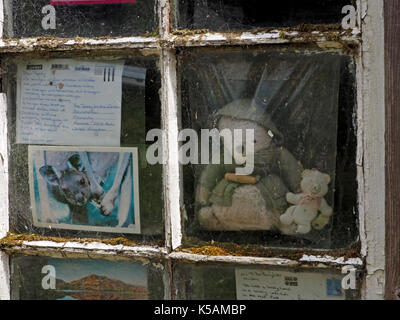 Der Bär im Fenster auf dem westlichen Ufer des Derwentwater Cumbria, England, Großbritannien und einige der vielen Postkarten, der ihm durch die Weiterleitung von Besuchern nach Lakeland gesendet Stockfoto