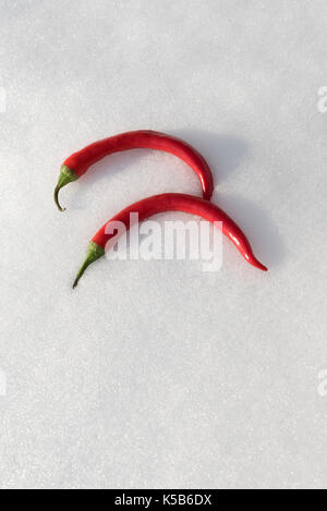 Vertikaler red hot chili peppers Stockfoto