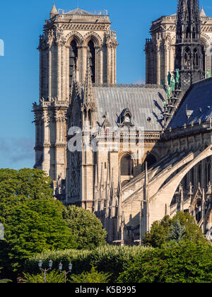 Close-up morgen Ausblick auf die Türme der Kathedrale Notre Dame de Paris. Ile de la Cite, 4. Arrondissement, Paris, Frankreich Stockfoto