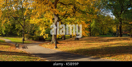 Panoramic morning view of Central Park in full Fall colors. Manhattan, New York City Stockfoto