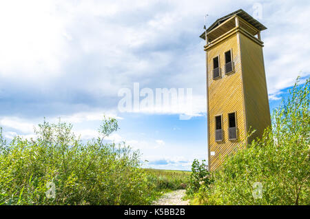 Der Aussichtsturm Jõesuu am Ufer des Sees Võrtsjärv in Estland Stockfoto