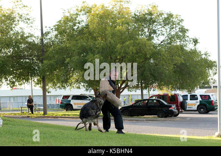 Polizei K-9-Demo im Escambia County Sheriff in Pensacola, Florida Stockfoto