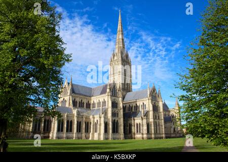 Kathedrale von Salisbury, Wiltshire Stockfoto