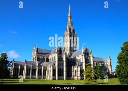 Kathedrale von Salisbury, Wiltshire Stockfoto