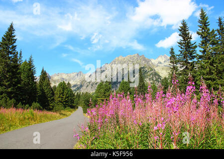 Die schöne Landschaft der Hohe Tatra (Vysoke Tatry) National Park, Straße nach Popradske Pleso, Slowakei Stockfoto