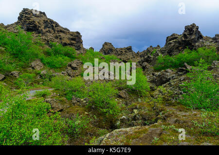 Das Gebiet Dimmuborgir, mit verschiedenen vulkanischen Höhlen und Felsformationen. In der Nähe von See Myvatn, Nordosten Islands Stockfoto