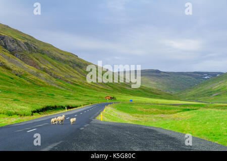 Landschaft im Bereich Strandir in der Region West Fjorde, Island Stockfoto