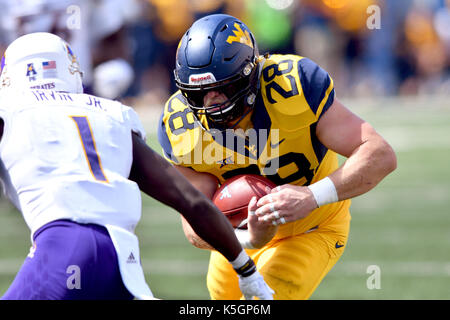 Morgantown, West Virginia, USA. 9 Sep, 2017. West Virginia Bergsteiger tight end ELIA WELLMAN (28) senkt seinen Kopf auf zu nehmen, East Carolina Pirates Defensive zurück TIM IRVIN (1) auf eine während des Spiels an Mountaineer Field in Morgantown, WV gespielt. WVU Beat 56-20 ECU. Credit: Ken Inness/ZUMA Draht/Alamy leben Nachrichten Stockfoto