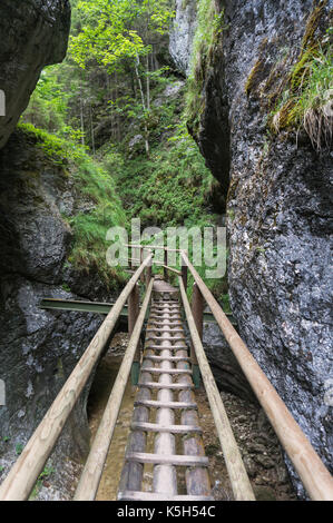 Vertikaler Holzbrücke auf River Gorge Stockfoto