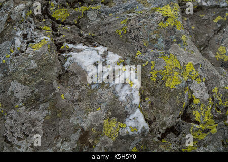 Quarz Ablagerung in einer alpinen Stein Stockfoto