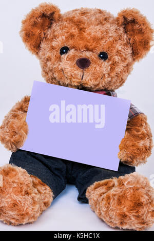 Cute teddy bear Holding ein leeres lila Zeichen auf weißem Hintergrund Stockfoto