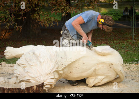 Der Bildhauer erstellt eine Holzskulptur von Lion während eines internationalen Skulpturen Symposium in Cesky Tesin. Der Tschechischen Republik. Stockfoto