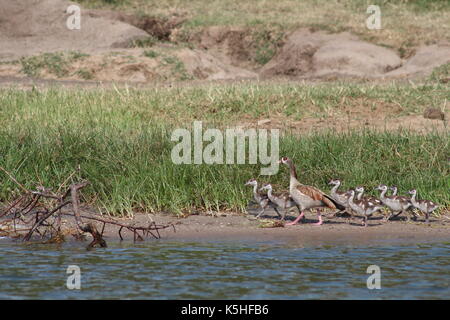 Fort Portal, Uganda Stockfoto