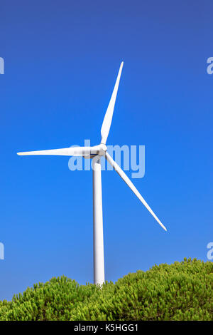 Windkraftanlagen alternative Energie Stockfoto