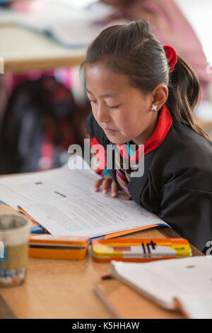 Schüler der Klasse Math in Gangrithang Grundschule, Jakar, zentrale Bhutan Stockfoto