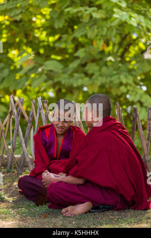 Punakha Drubchen (historische Feier) und Tsechu (religiöse Feier) in Punakha Dzong, westlichen Bhutan. Stockfoto