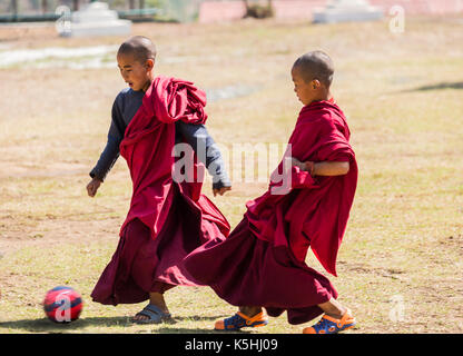 Junge Mönche Fußball bei chimi Lakhang (Tempel) in der Nähe von Lobesa, Punakha, westlichen Bhutan spielen Stockfoto