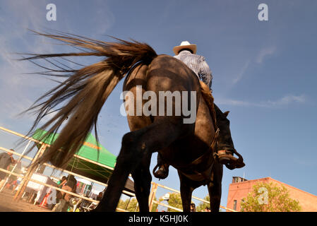 El Dia de San Juan Fiesta, die den Geburtstag von Johannes dem Täufer und dem Beginn der Monsunzeit in der Sonoran Wüste feiert, nimmt pl Stockfoto