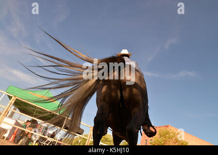 El Dia de San Juan Fiesta, die den Geburtstag von Johannes dem Täufer und dem Beginn der Monsunzeit in der Sonoran Wüste feiert, nimmt pl Stockfoto