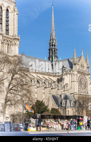 Fußgänger vor der zweiten Hand Buchhändler (bouquinistes) mit der Kathedrale Notre Dame, Paris, Frankreich Stockfoto