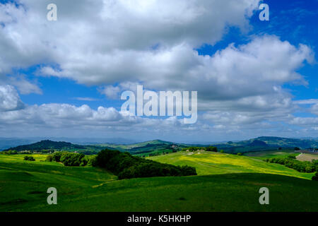 Typische tuscanian Landschaft mit Bauernhöfe auf Hügeln, grünen und gelben Felder, Weinberge und bewölkter Himmel Stockfoto