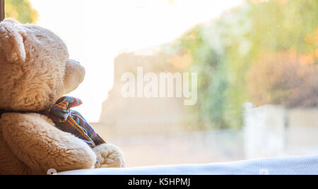 Teddybär auf dem Fensterbrett sitzen Stockfoto