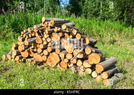 Stapel der Rohstoff Rundholz am Wald im Sommer Stockfoto