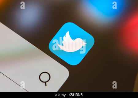 Twitter Symbol auf einem Bildschirm des Smartphones Stockfoto