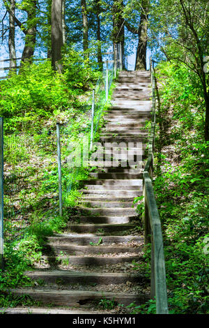 Wald Trail Wanderweg im Neandertal mit steilen Treppen Stockfoto