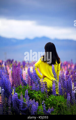 Asiatische Mädchen stehen in Lupin Feld in Tekapo, Neuseeland. Stockfoto
