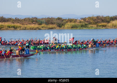 Dragon Boat racing teams bis zur Ziellinie Stockfoto