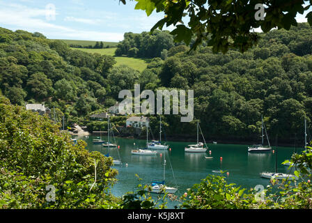 Fluss Yealm an einem sonnigen Tag mit angelegten Yachten, woodlans und Fieds nach Noss Mayo, Devon. Stockfoto