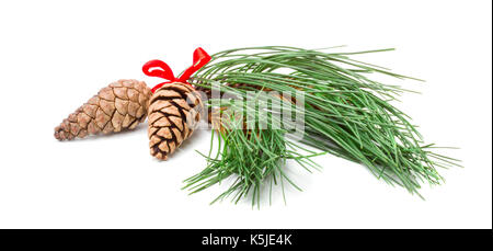 Weihnachten Kiefer Niederlassungen mit zwei Kegel auf weißem Hintergrund Stockfoto