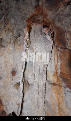 Brixham Cavern, Windmill Hill Knochen Höhle. Ein altes Denkmal, Entdeckt im Jahr 1858. Die wichtigsten Knochen Beweis für das Alter des Menschen. South Devon, Großbritannien. 2017. Stockfoto