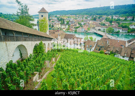 Luftaufnahme von Weinberg und landschaftlich schöne um Munot, Schaffhausen, Schweiz Stockfoto