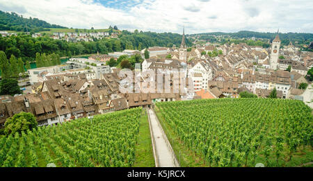 Luftaufnahme von Weinberg und landschaftlich schöne um Munot, Schaffhausen, Schweiz Stockfoto