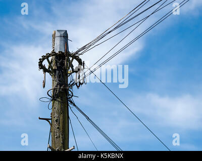 Telegrafenmast vor blauem Himmel Stockfoto