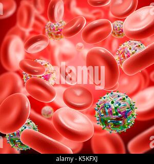 Abbildung: West Nile Virus Partikel im Blut. Stockfoto