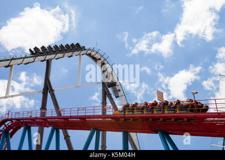 Dragon Khan Achterbahn Stockfoto