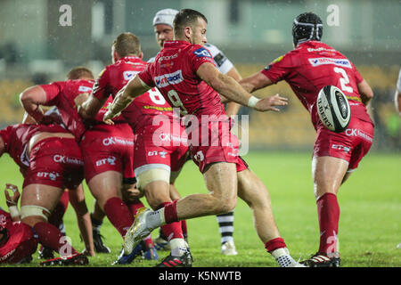 Parma, Italien. 9. September 2017. Scarlets' Scrum Hälfte Gareth Davies kicks Zebre Druck in Guinness PRO 14 Rugby Meisterschaft zu verhindern. Massimiliano Carnabuci/Alamy leben Nachrichten Stockfoto