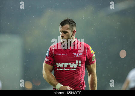 Parma, Italien. 9. September 2017. Scarlets' Scrum Hälfte Gareth Davies nimmt Stellung nach einem Versuch im Spiel gegen Zebre in Guinness PRO 14 Rugby Meisterschaft. Massimiliano Carnabuci/Alamy leben Nachrichten Stockfoto