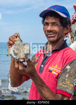 Von Cartagena, Kolumbien - Dec 15, 2015: ein Fischer hält einen Kugelfisch, der in seinem Netz gefangen war Stockfoto