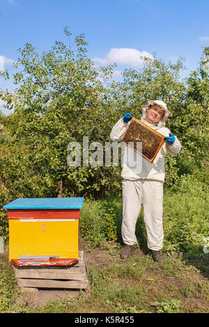 Imker mit Wabe in die imkerei Stockfoto